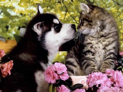 Hãy kiên nhẫn!! Yêu thương sẽ đến Hãy kiên nhẫn!! Yêu thương sẽ đến